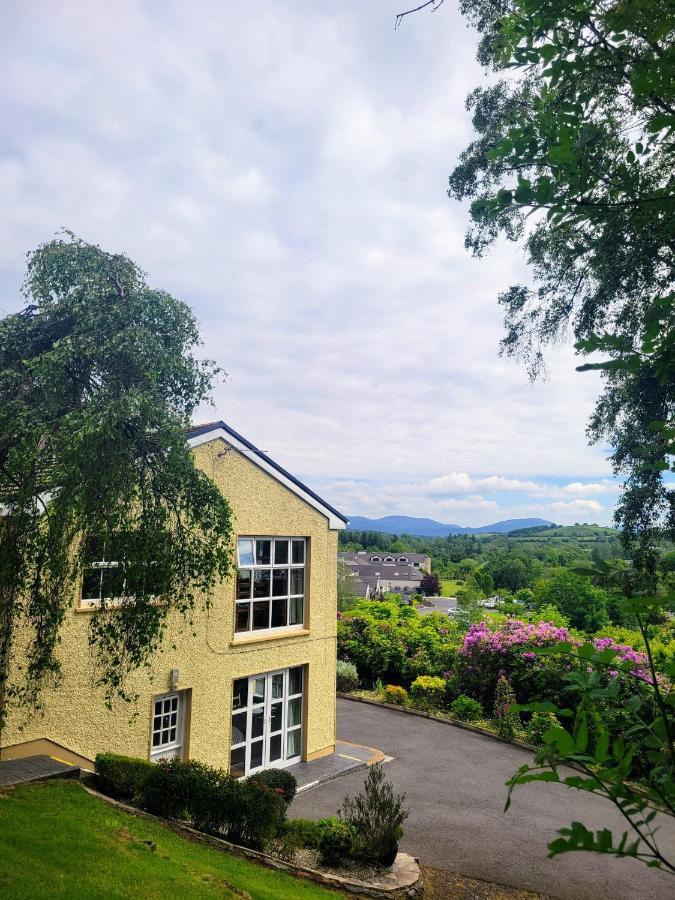 Spring Grove Guesthouse Donegal Town Exterior photo